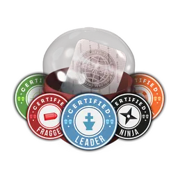 Team Roles Capsule