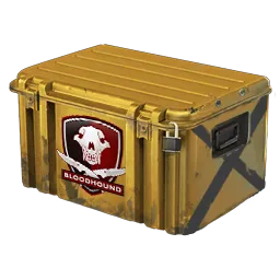Falchion Case