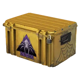 Shattered Web Case