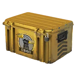 Glove Case