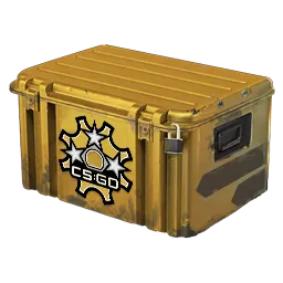 Revolver Case