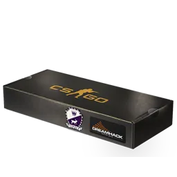 DreamHack 2014 Cobblestone Souvenir Package