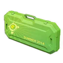 eSports 2014 Summer Case