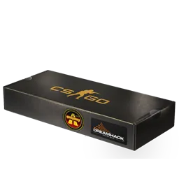 DreamHack 2014 Overpass Souvenir Package